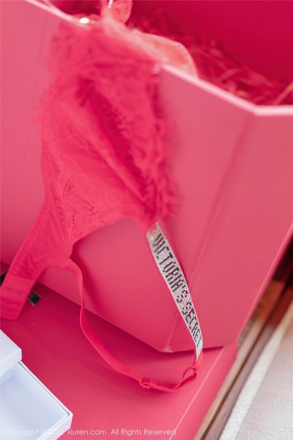 欧美成人性交短片(2010)日本剧高清海报